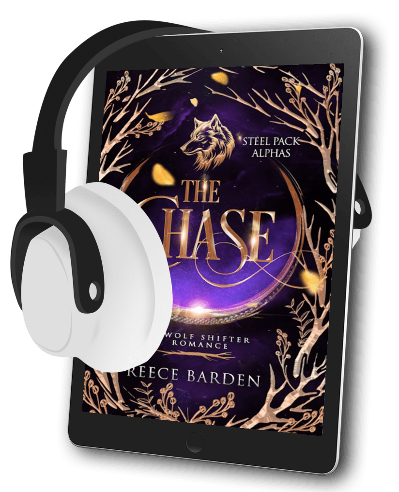 The Chase Audiobook