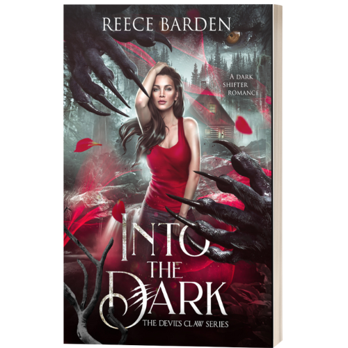 Into The Dark Paperback