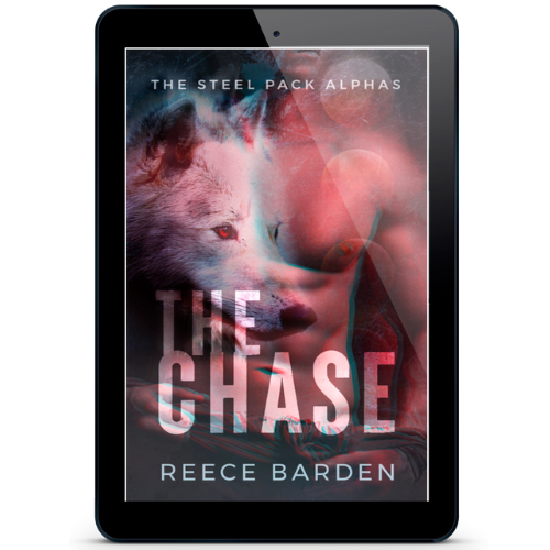 The Chase eBook